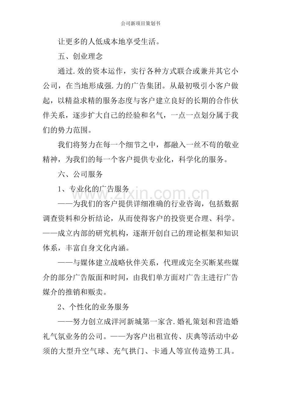 公司新项目策划书.doc_第2页