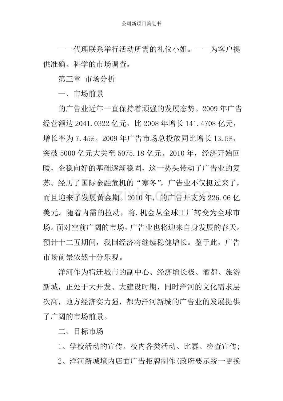 公司新项目策划书.doc_第3页