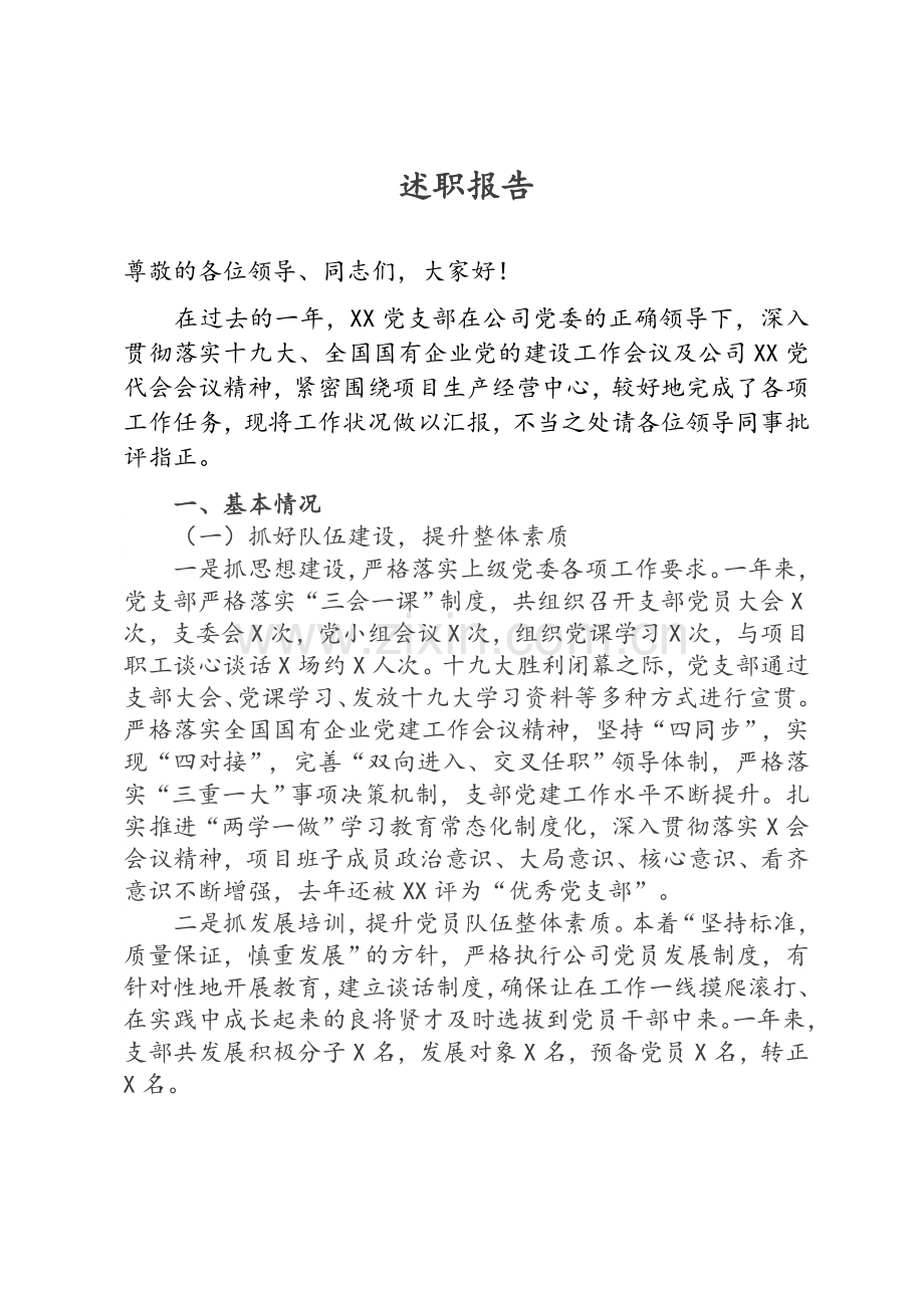 项目党支部书记述职报告.doc_第1页