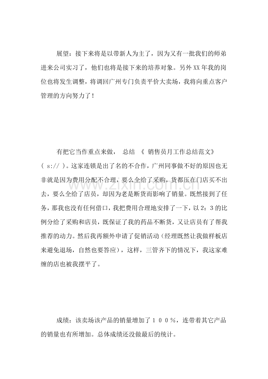 2021年销售员月工作总结范文总结.doc_第2页