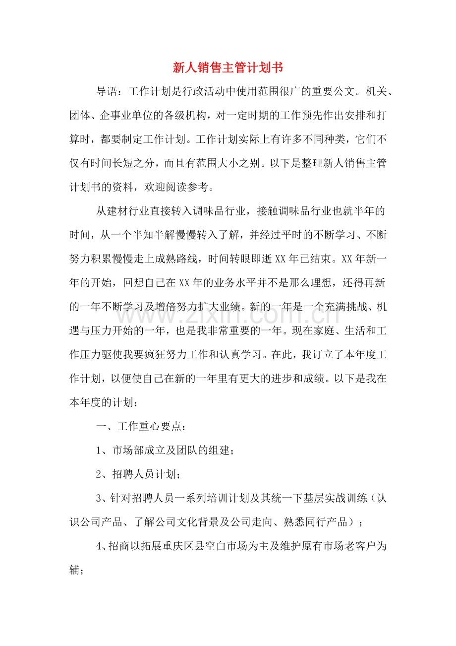 新人销售主管计划书.doc_第1页