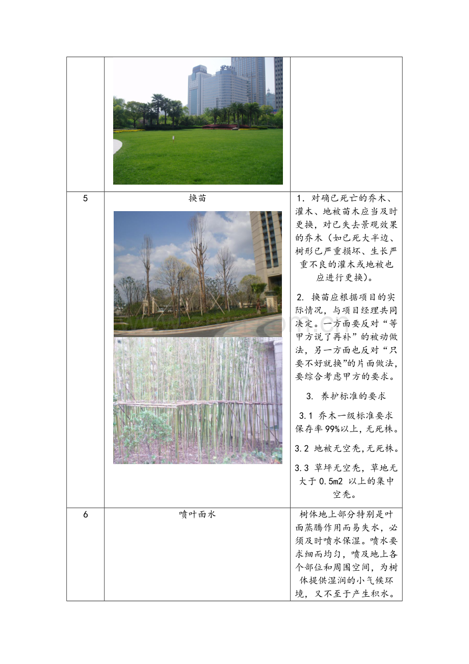 绿化养护技术交底.doc_第2页