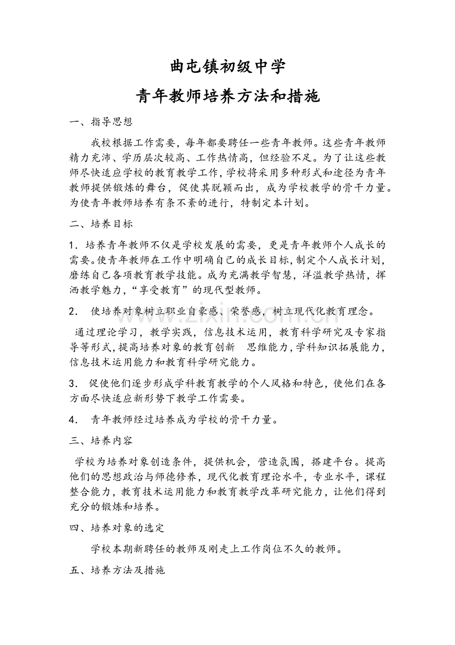 青年教师培训方案.doc_第1页