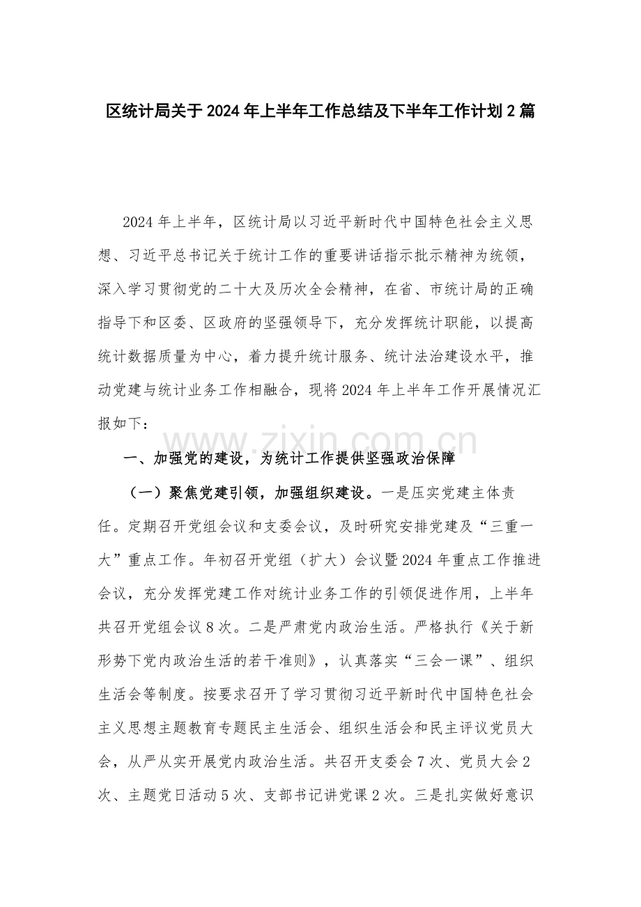 区统计局关于2024年上半年工作总结及下半年工作计划2篇.docx_第1页