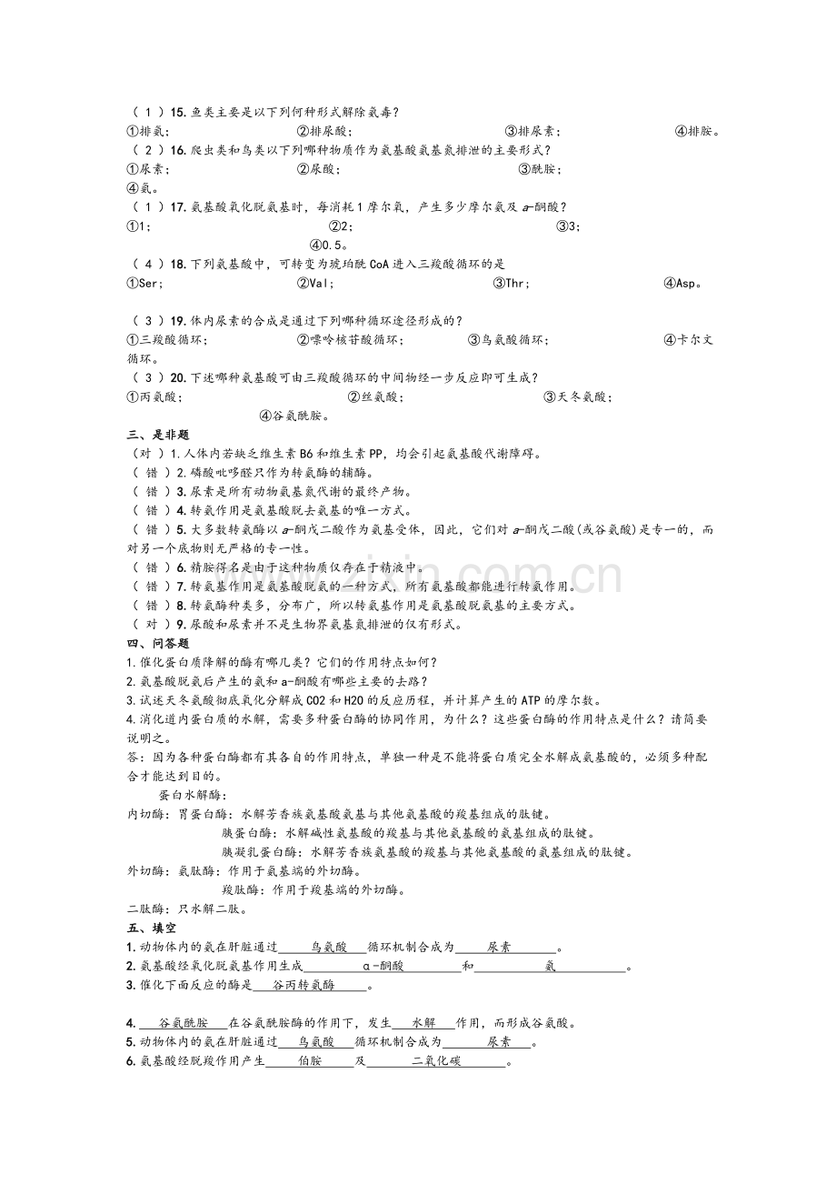 生物化学试题库.doc_第3页