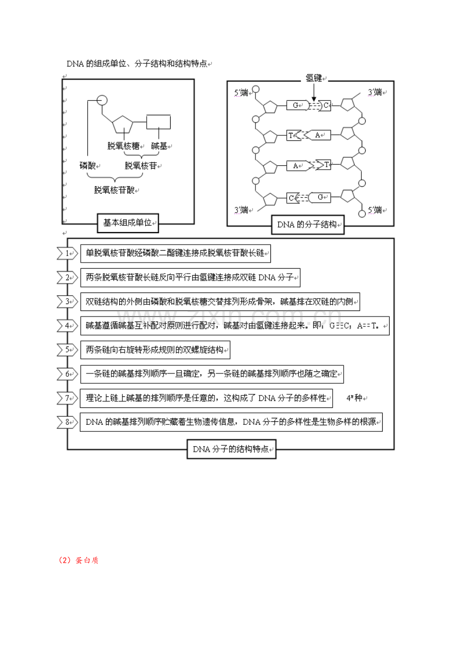 高三生物一轮复习知识结构网络.doc_第2页