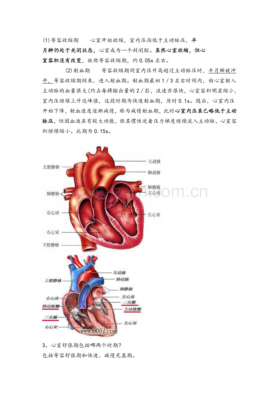 血液循环图片版.doc_第2页