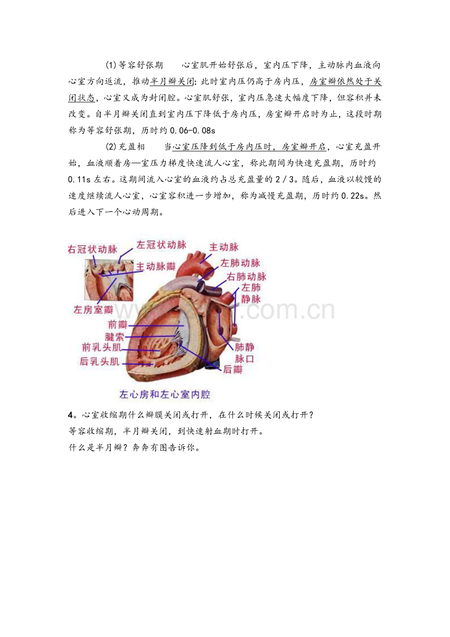 血液循环图片版.doc_第3页