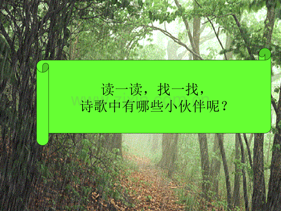 雨中的树林.ppt_第3页