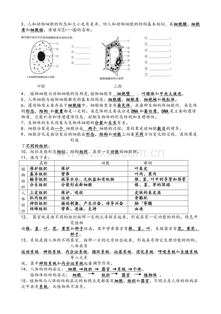 苏教版七年级生物上学期知识点汇总.doc_第2页