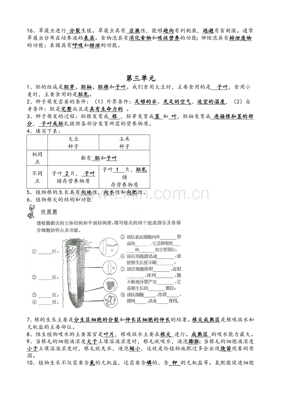 苏教版七年级生物上学期知识点汇总.doc_第3页