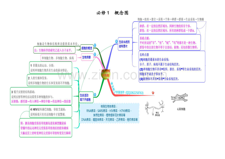 生物必修一--概念图.doc_第1页