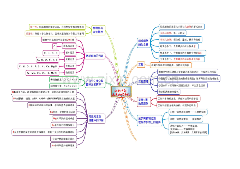 生物必修一--概念图.doc_第2页