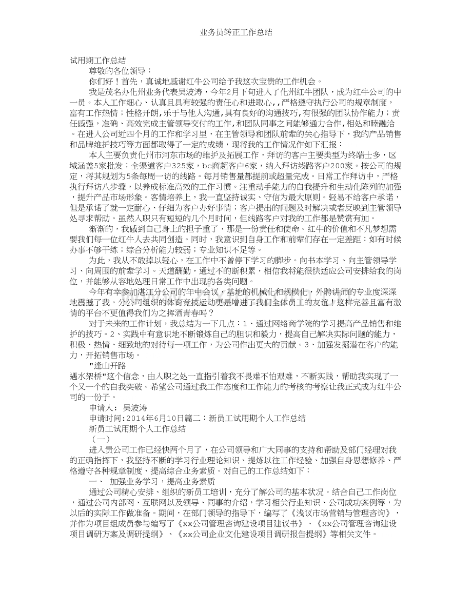 业务员转正工作总结.doc_第1页