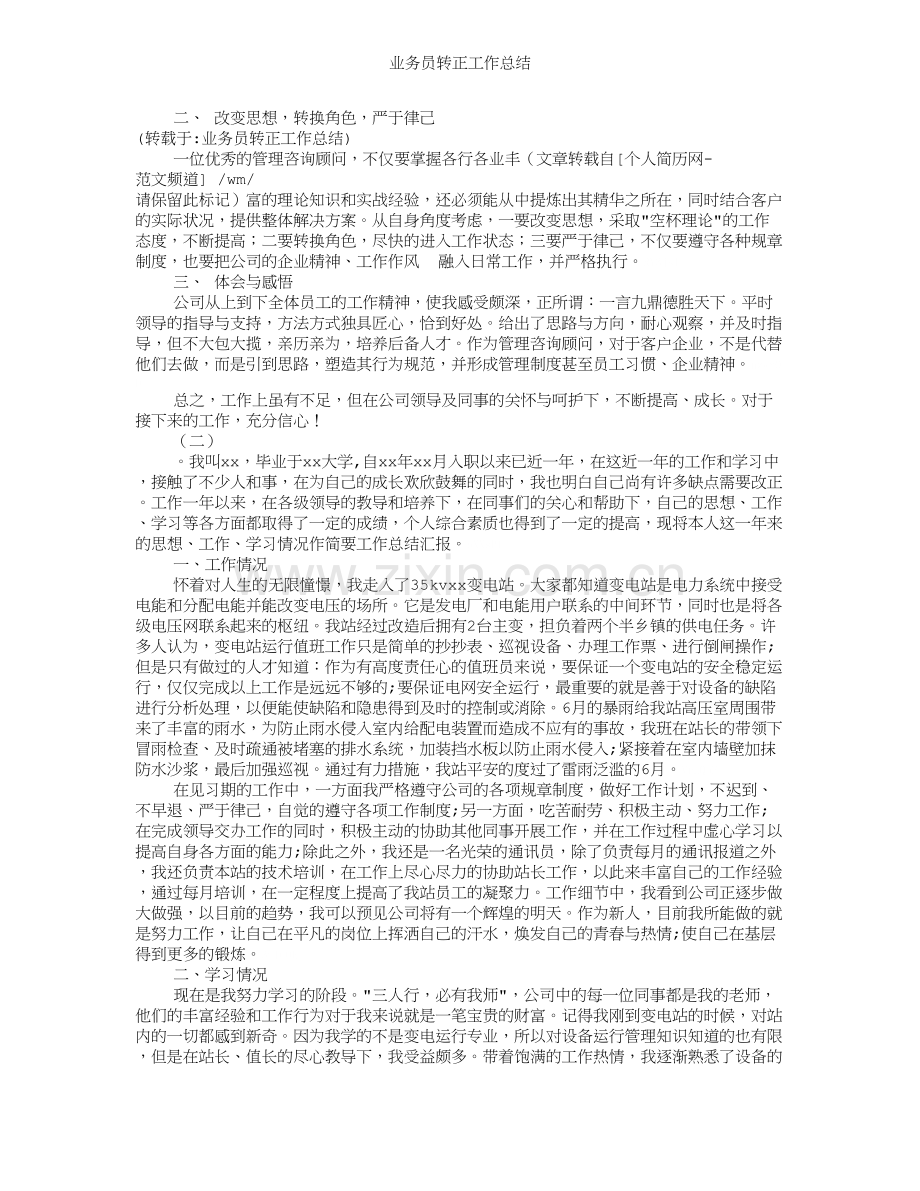 业务员转正工作总结.doc_第2页