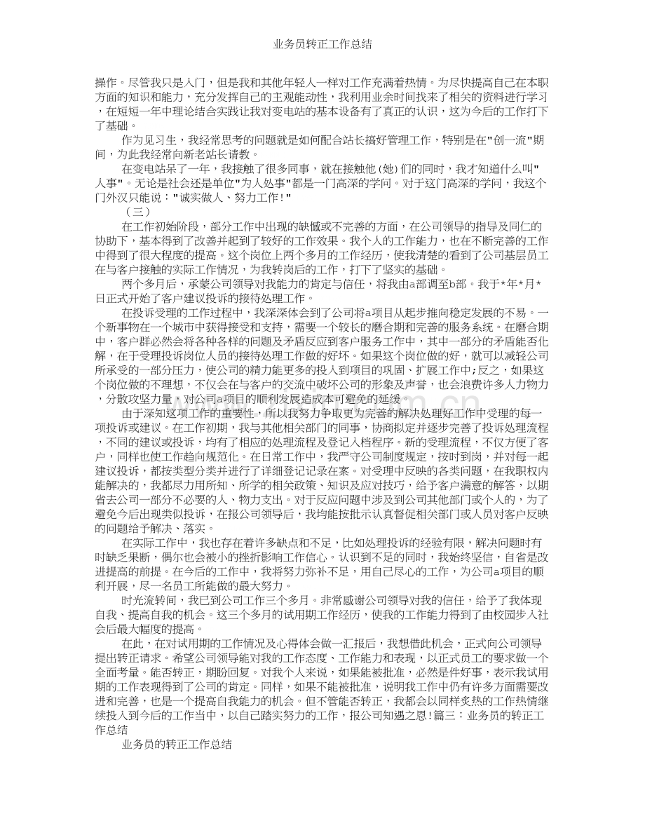 业务员转正工作总结.doc_第3页