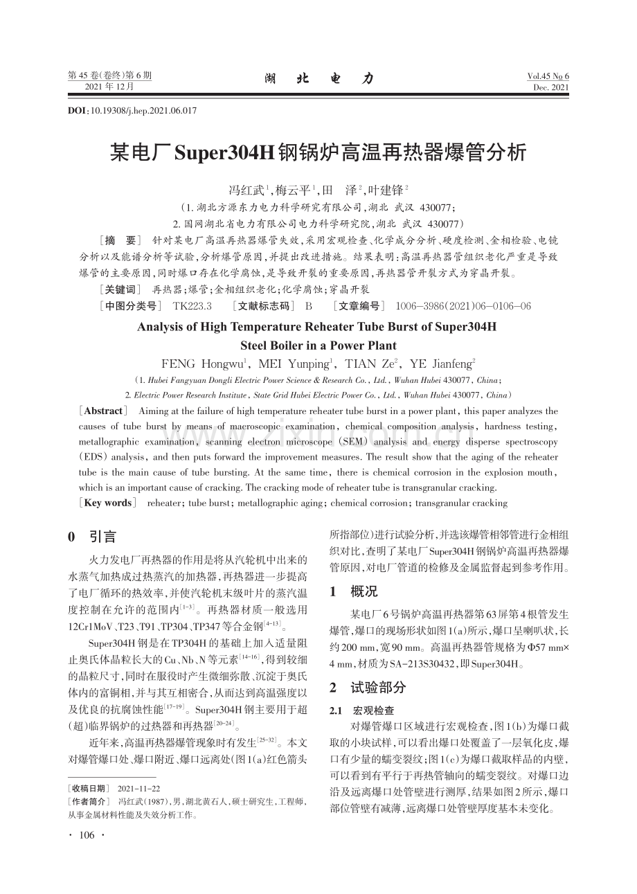 某电厂Super304H钢锅炉高温再热器爆管分析.pdf_第1页