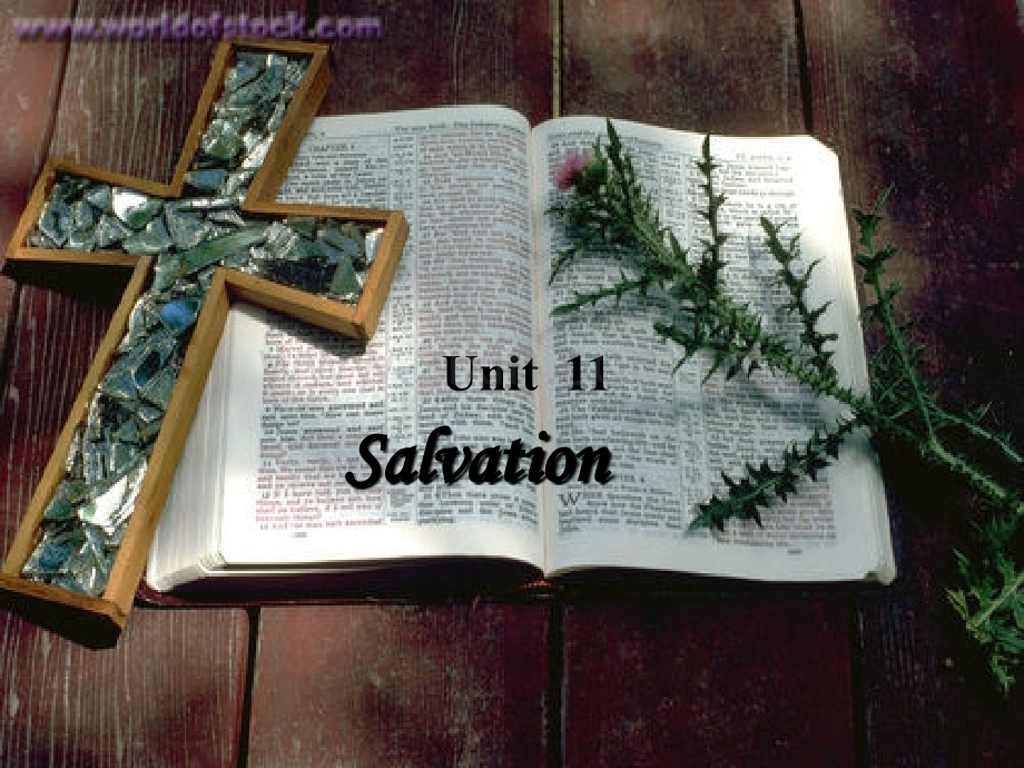 综合英语-unit-11-salvation.ppt_第1页