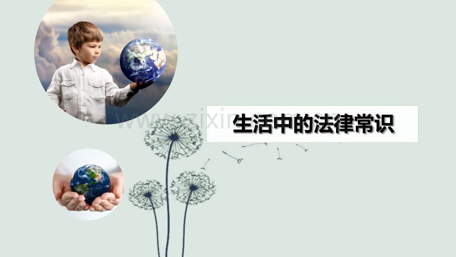 生活中的法律常识.ppt_第1页