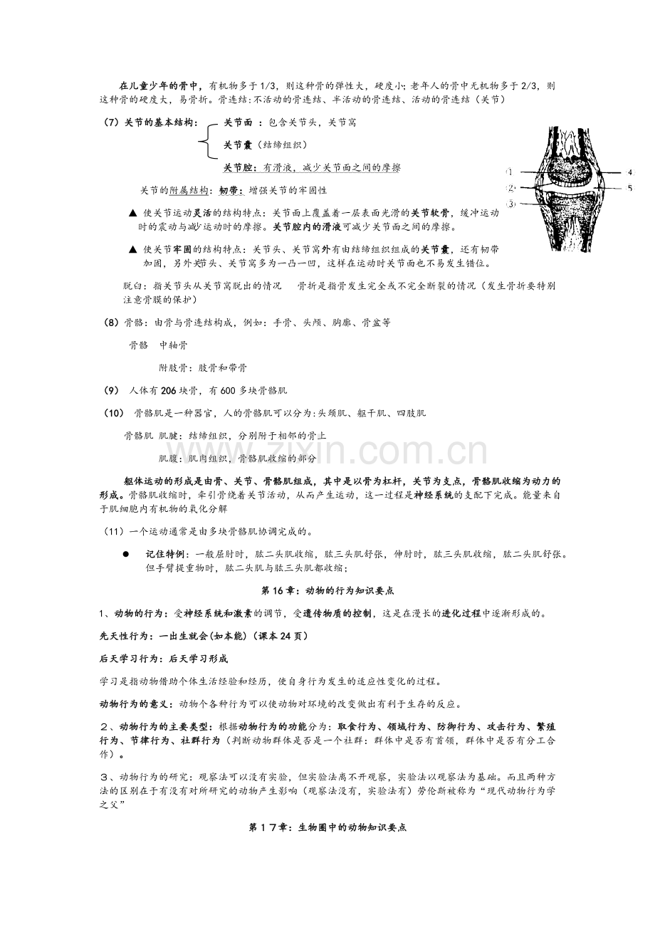 北师大版八年级生物上册知识点总结.doc_第2页