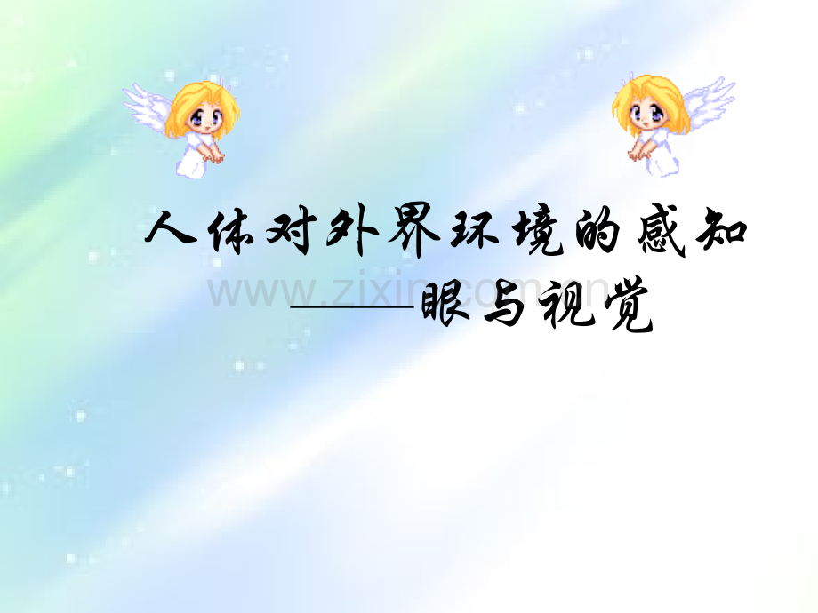 眼的结构.ppt_第1页