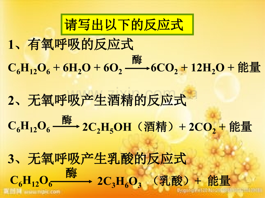 高一生物细胞呼吸与光合作用.ppt_第3页