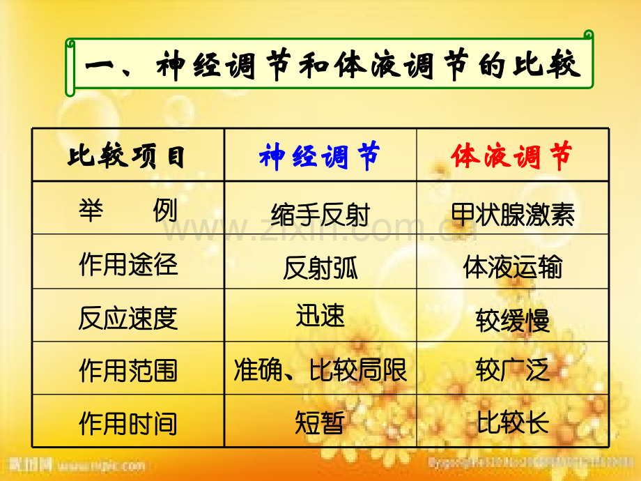 高中生物必修三第二章第三节.ppt_第3页