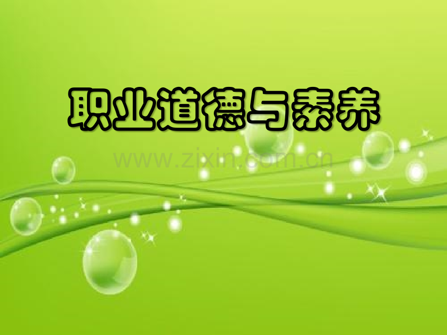 职业道德与素养-PPT.ppt_第2页