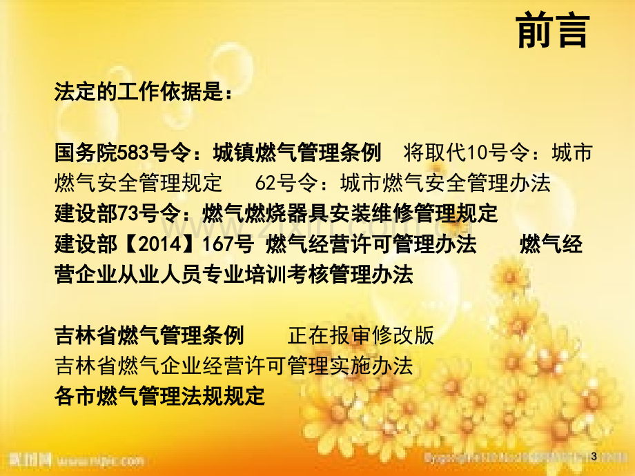 燃气行业安全管理培训-PPT.ppt_第3页