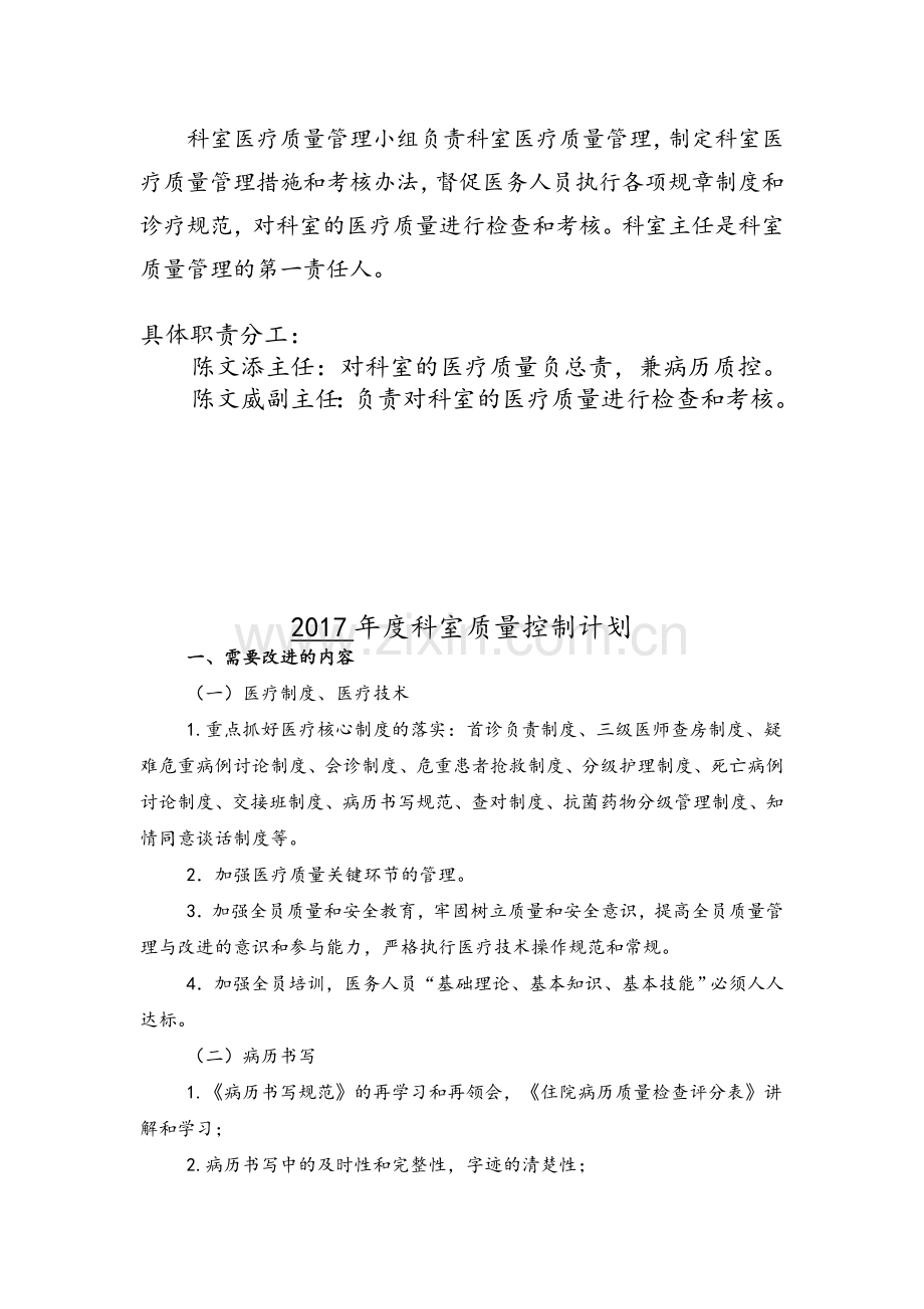 医疗质量管理持续改进记录表.doc_第2页