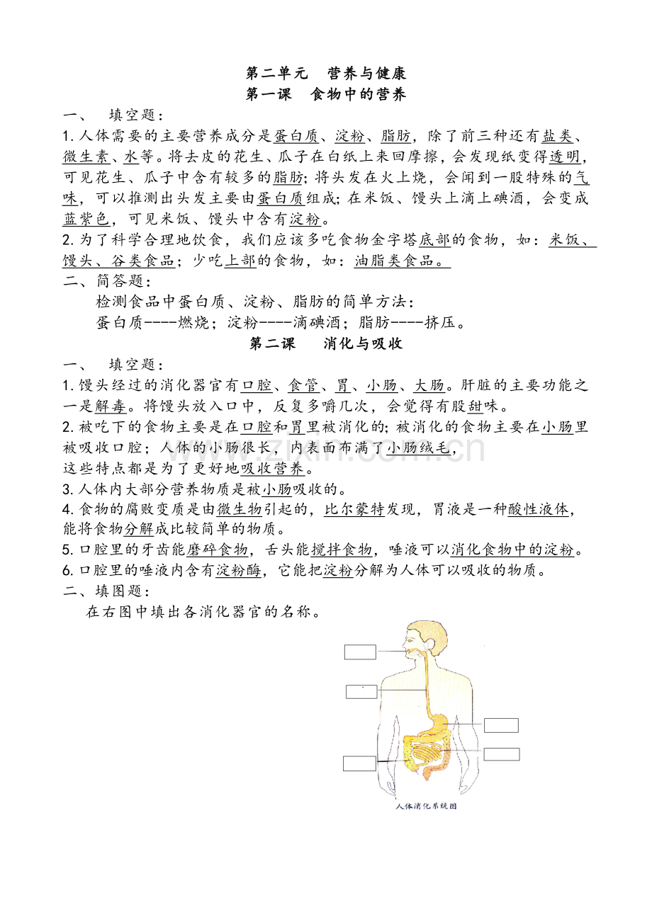 湘教版六年级(上册)科学复习资料全.doc_第3页