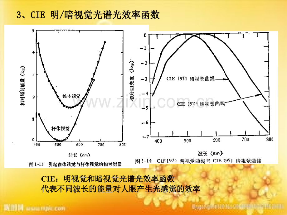 色度学-期末总复习.ppt_第2页