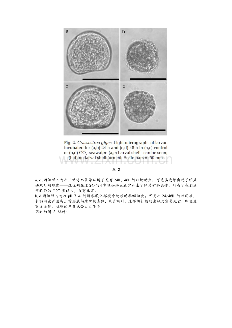 海洋酸化对于生物的影响.doc_第3页