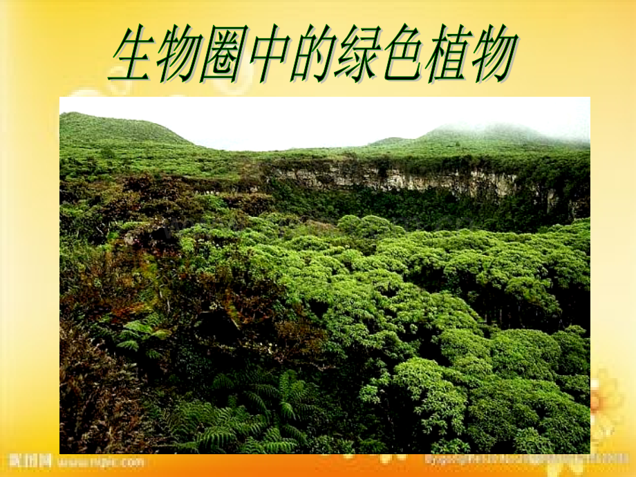 生物圈中的绿色植物.ppt.ppt_第1页