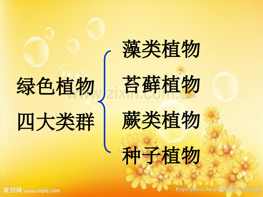 生物圈中的绿色植物.ppt.ppt_第2页