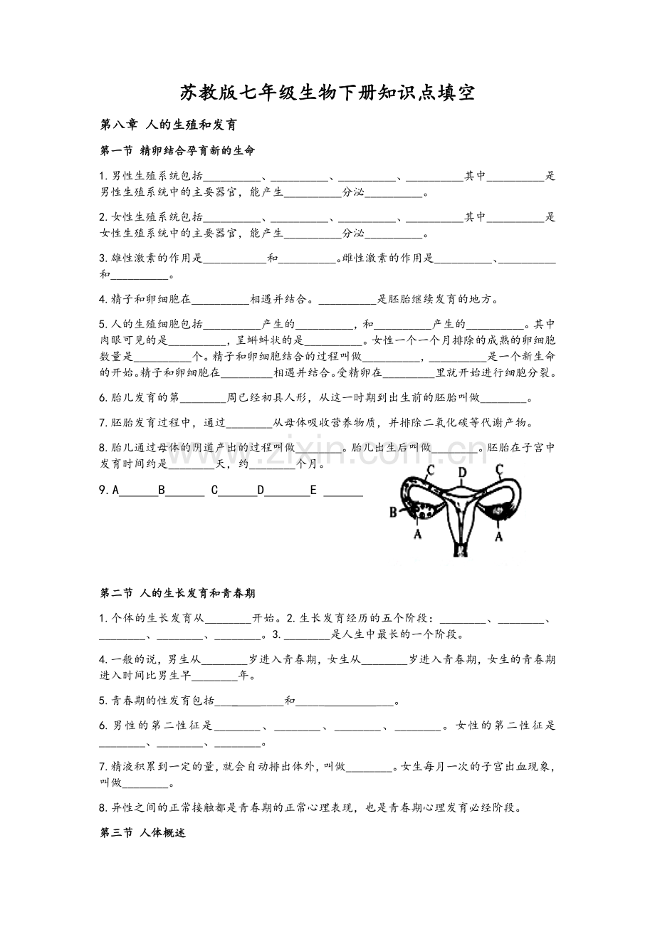 苏教版七年级生物下册知识点填空.doc_第1页