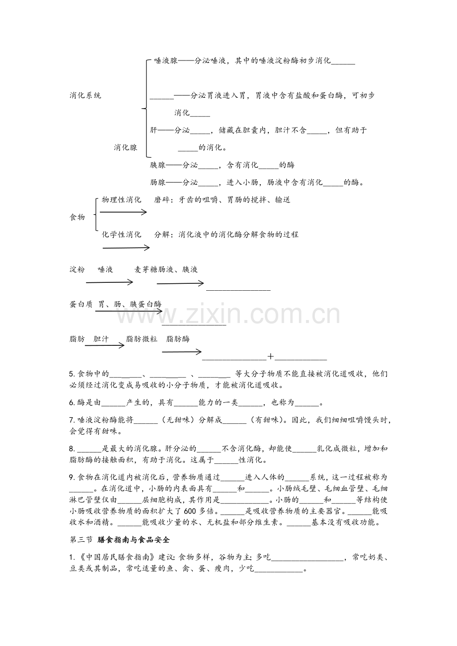 苏教版七年级生物下册知识点填空.doc_第3页