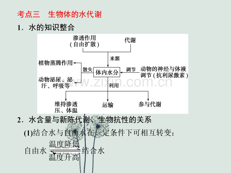 高三生物二轮复习专题一第一讲.ppt_第2页