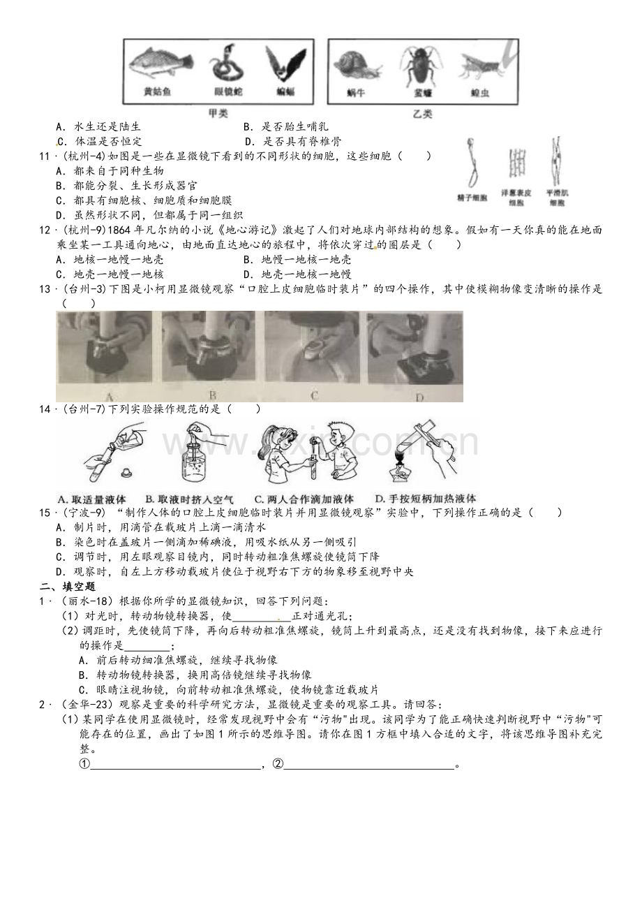 科学分类汇编(七年级上册).doc_第2页