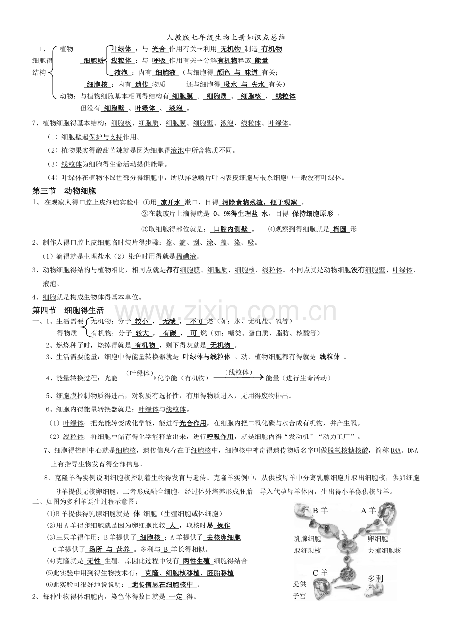 人教版七年级生物上册知识点总结.doc_第3页