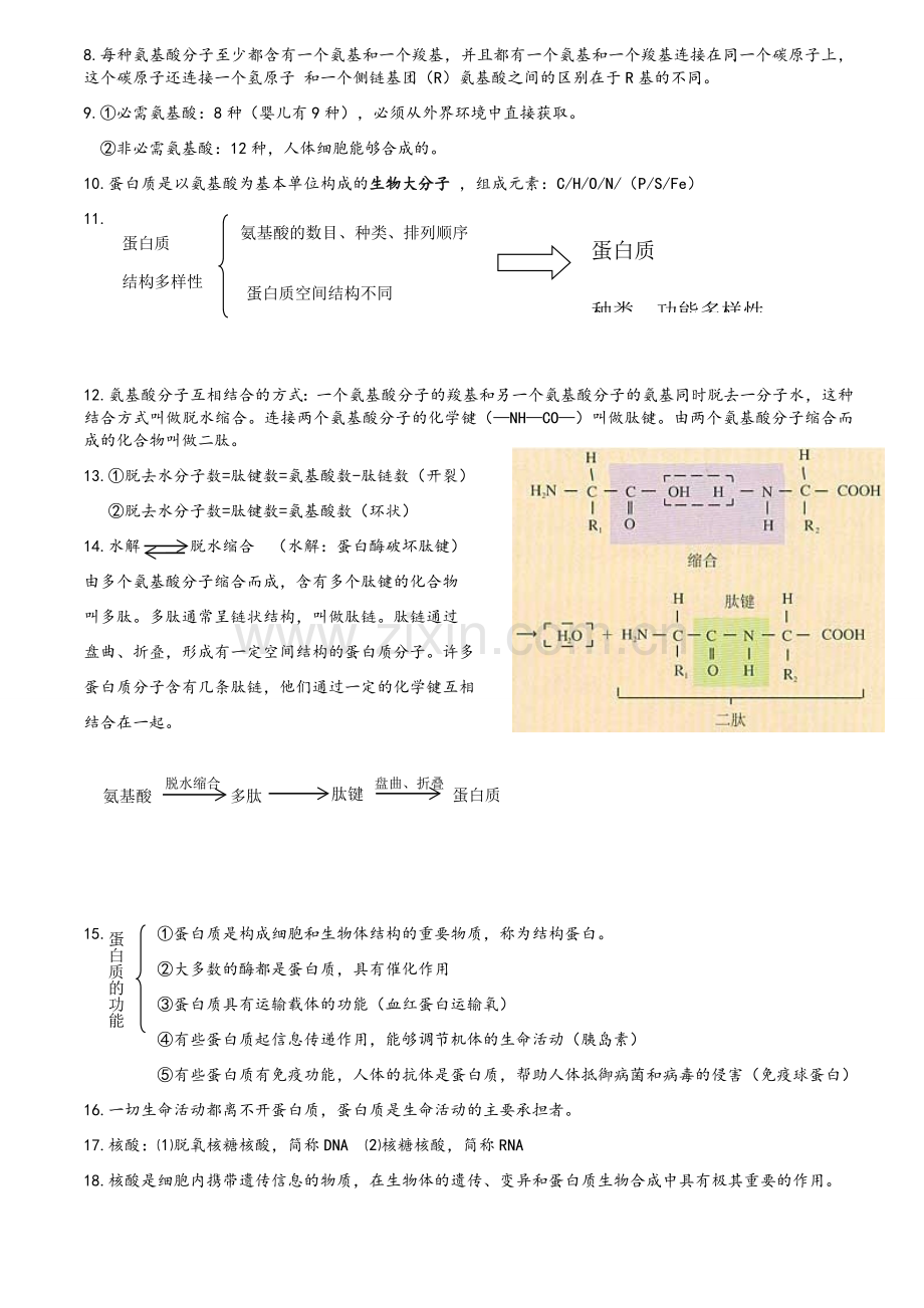 高一生物必修一知识点大全(图文).doc_第3页