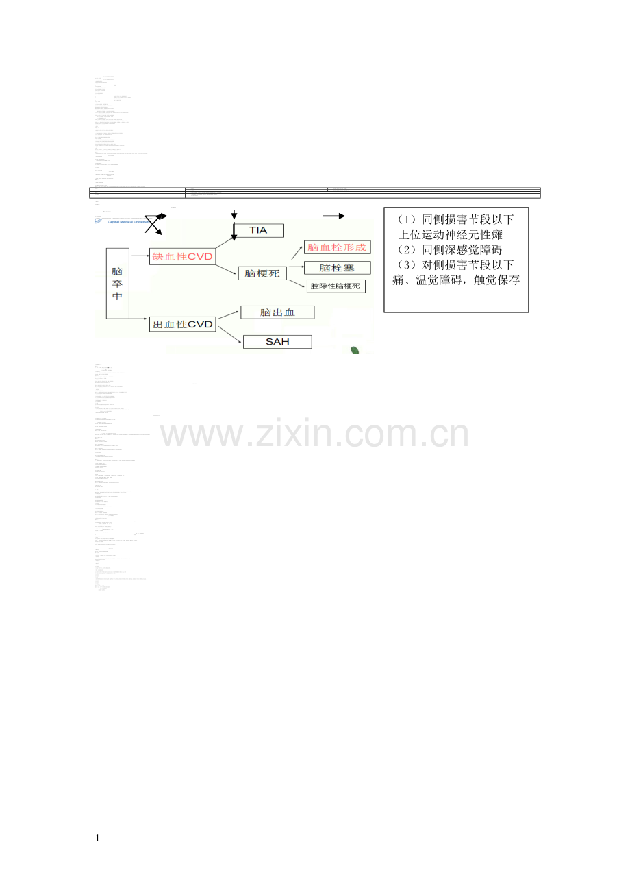 神经内科复习资料.doc_第1页