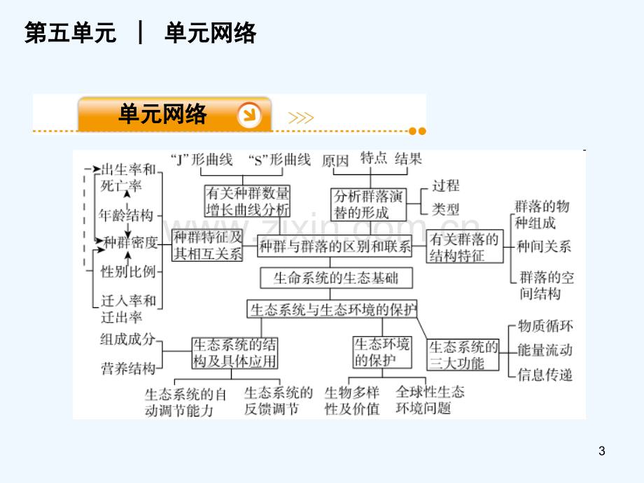 生命系统的生态基础-PPT课件.ppt_第3页