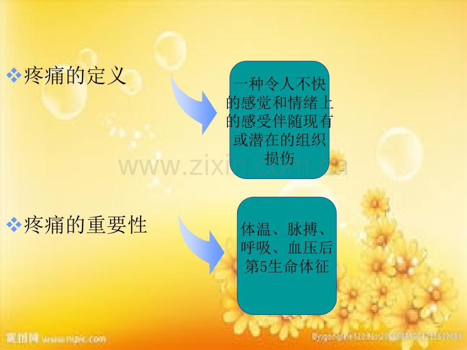 影响疼痛的因素与评估.ppt_第2页