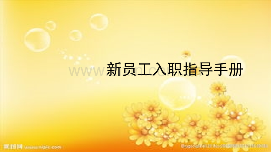 新员工入职指导手册PPT.ppt_第1页