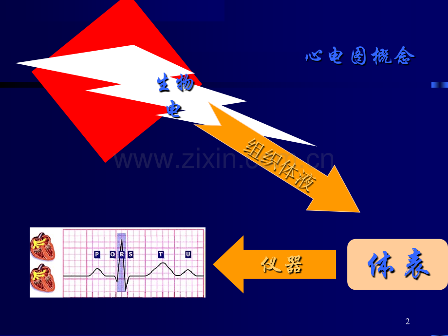 临床心电图基本知识-.ppt_第2页