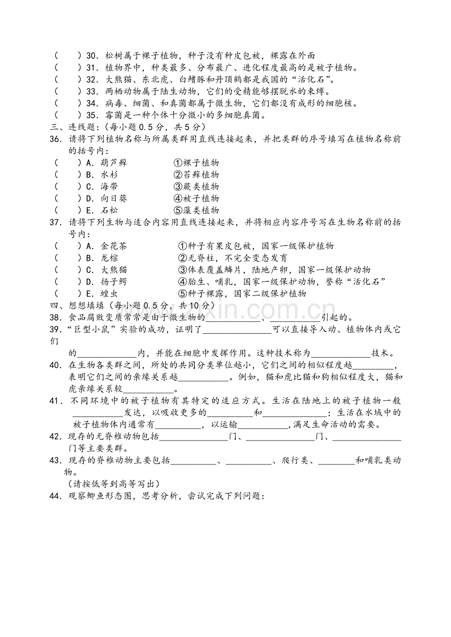 苏教版八年级上册生物期期中试题.doc_第3页