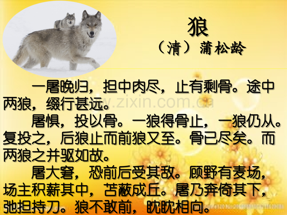 狼-对照翻译.ppt_第3页