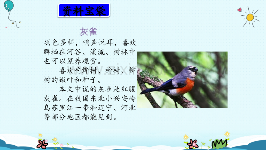 灰雀(人教部编版).ppt_第2页