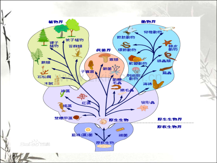 细菌的耐药性的产生及检测方法.pptx_第2页